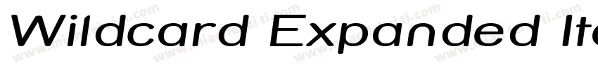 Wildcard Expanded Italic Expanded I字体转换